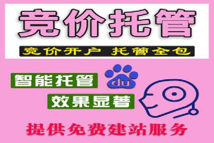 竞价排名实战技巧解析